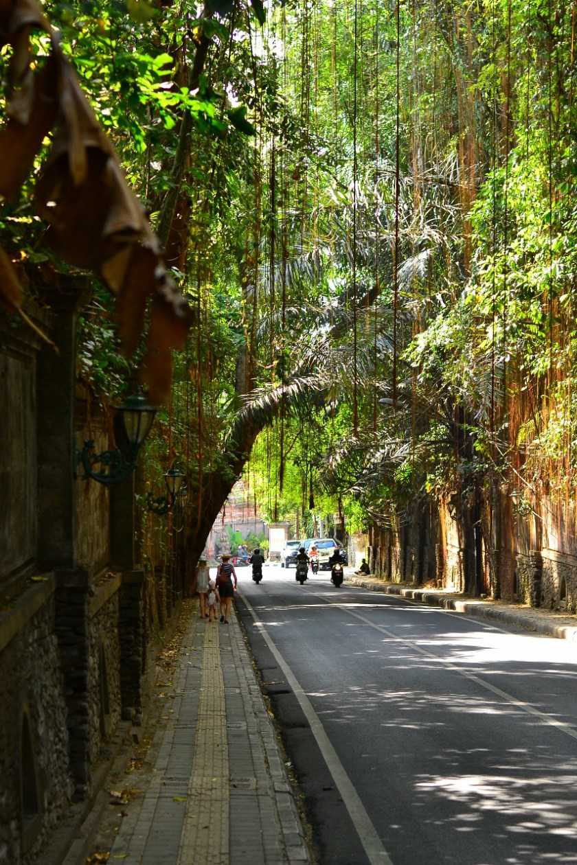 muinasjutuline-tanav-veelkord-853x1280